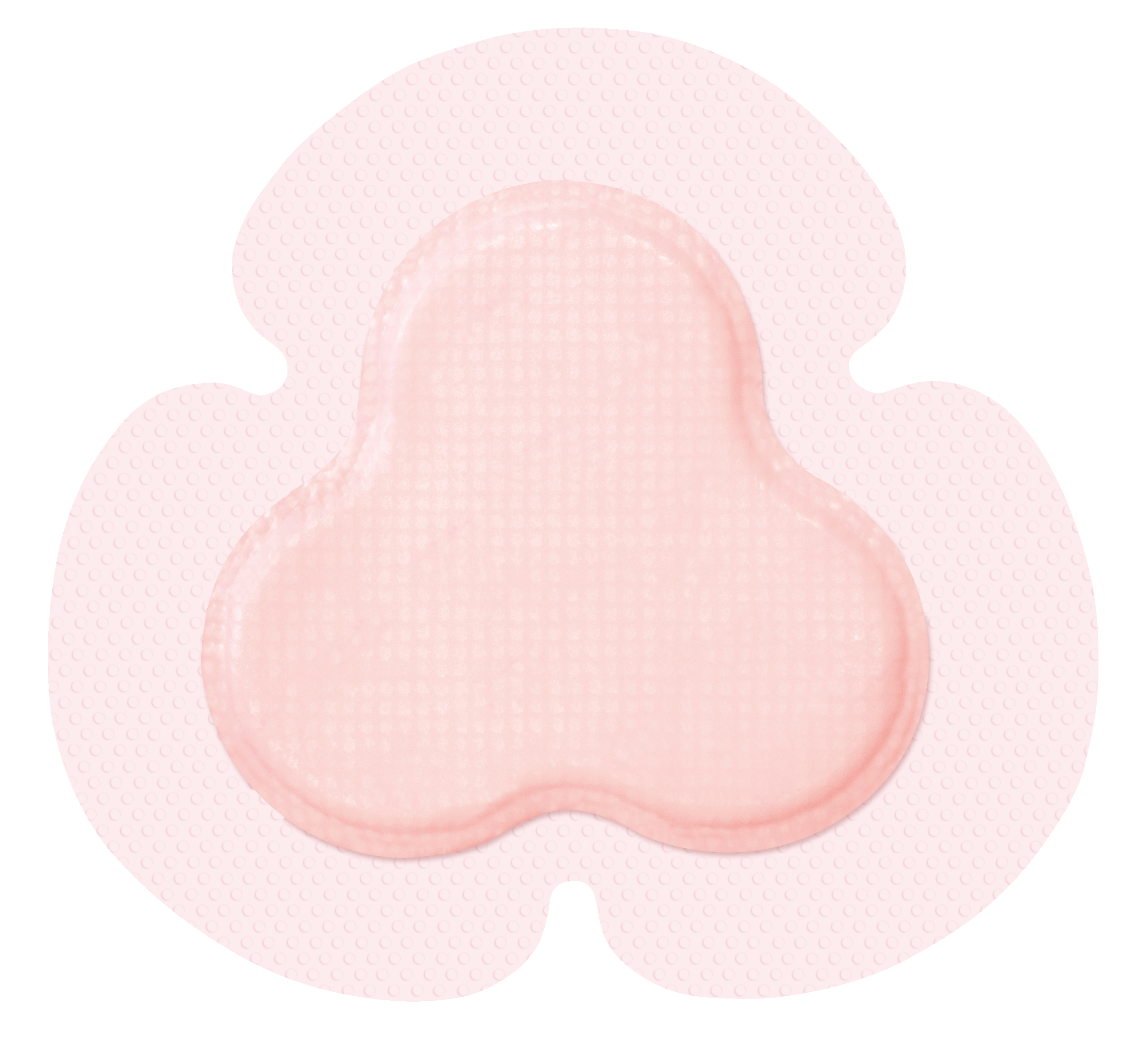 ALLEVYN™ GENTLE BORDER MULTISITE