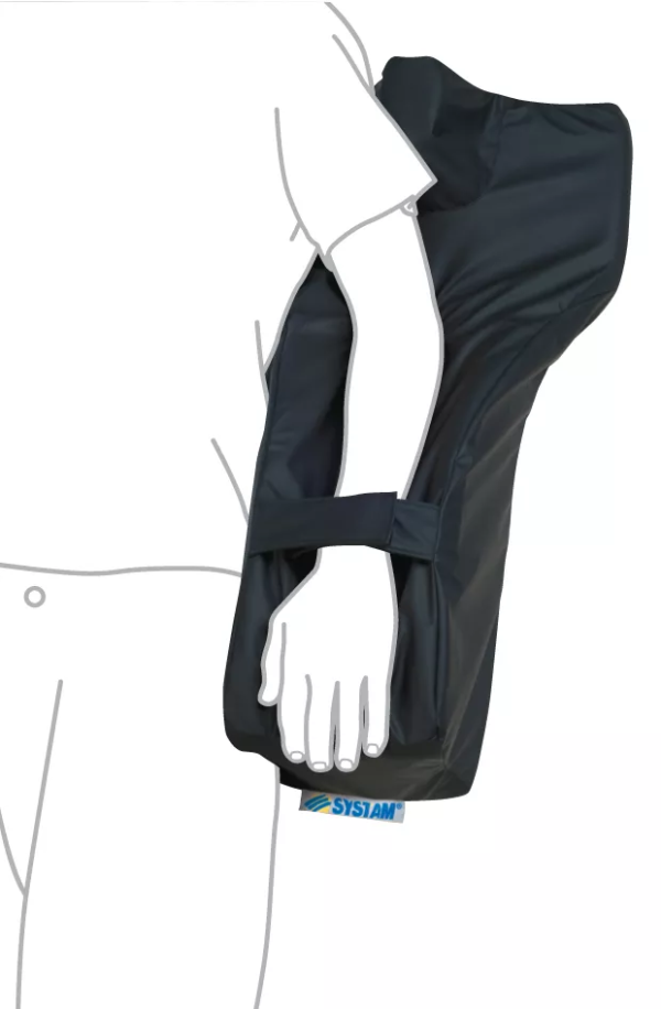 cale membres sup-dessus dessin