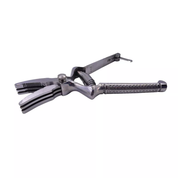 masticateur-inox